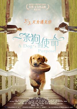 两男一马